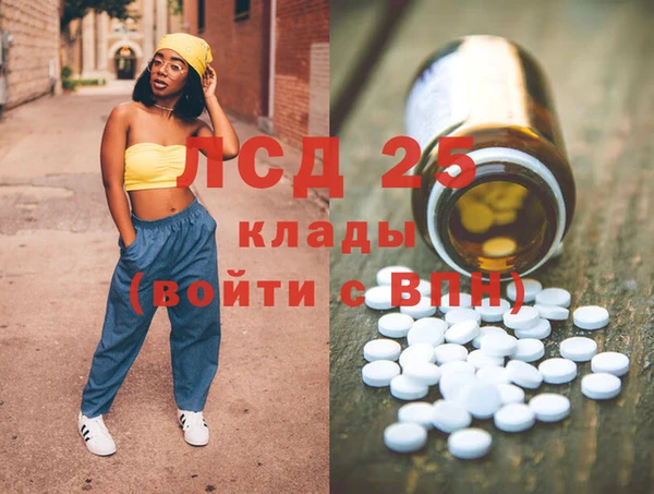 гашик Алексин