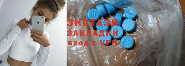 гашик Алексин