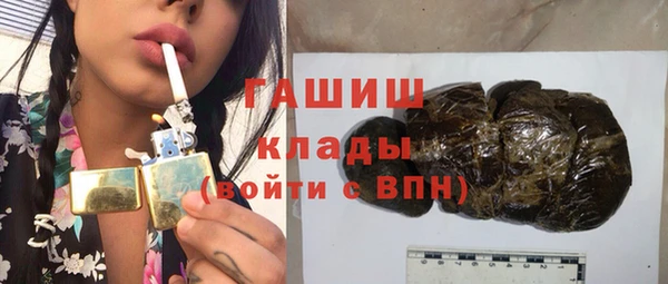 гашик Алексин